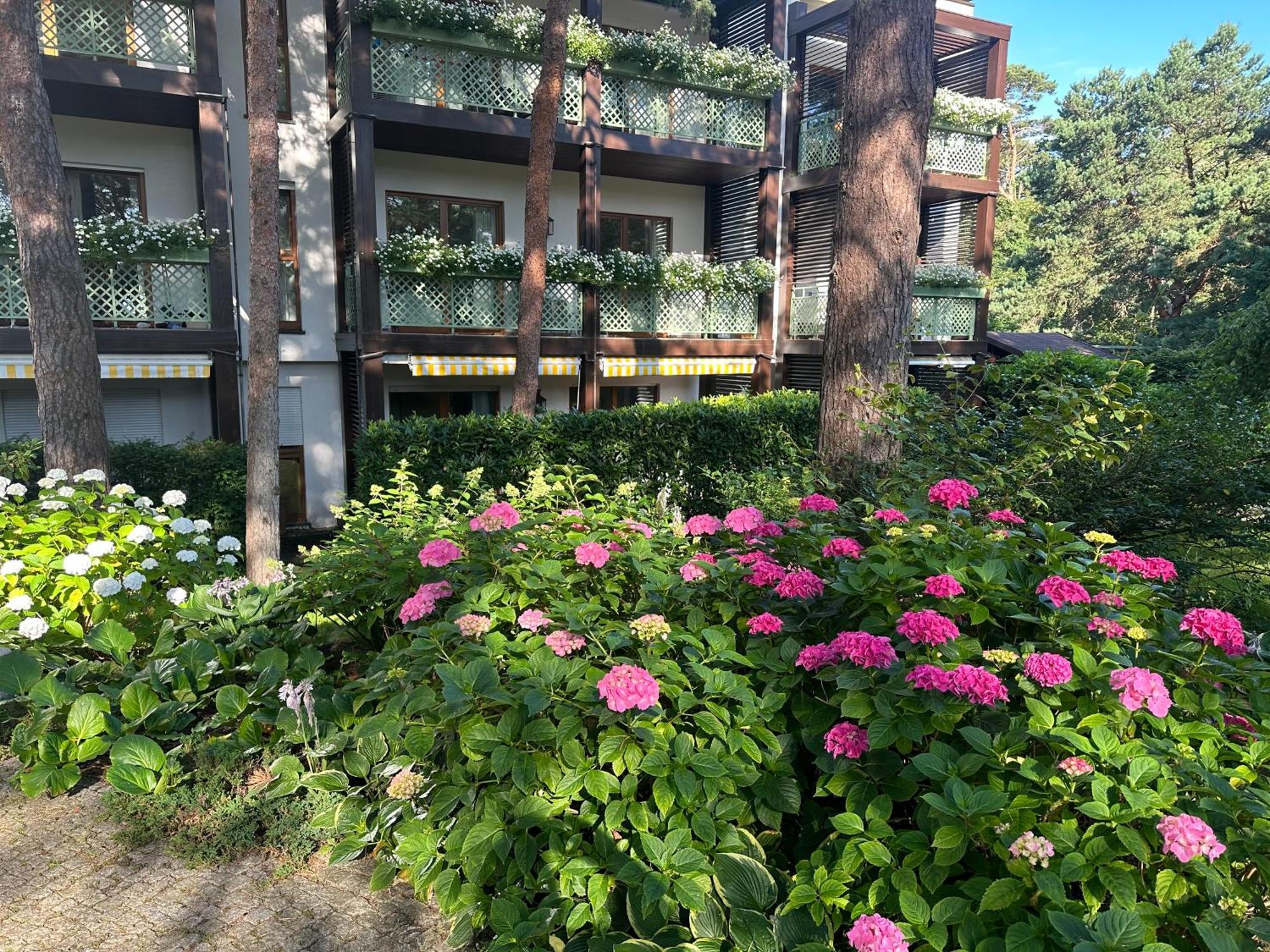 Apartament Bryza - Szczesliwa Dziewiatka Jurata Εξωτερικό φωτογραφία